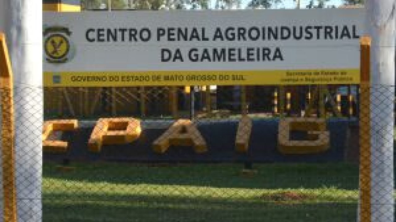 02-0423-0278-presidio-gameleira-go