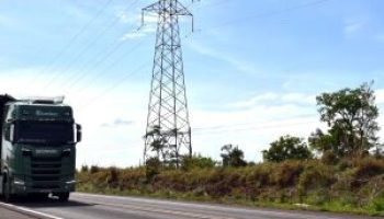 02-1025-0492-br-262-pr