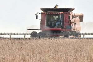 03-0325-0010-colheita-da-soja-go