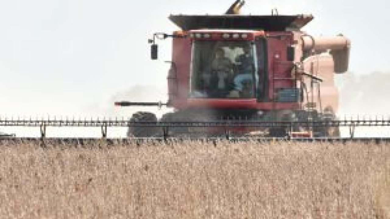 03-0325-0010-colheita-da-soja-go