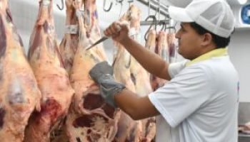 03-0525-0043-acougue-carne-go