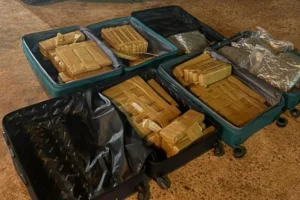 Foto: Droga apreendida - Foto: PRF/Divulgação