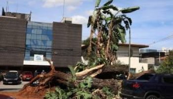 Apagão em SP causa prejuízo de até R$ 77,5 milhões ao comércio