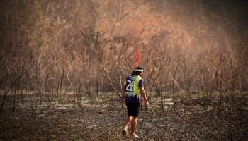 Nova lei de licenciamento ambiental preocupa e deve chegar ao STF