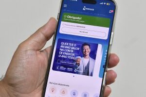 103-0326-0060-celular-anergisa-go