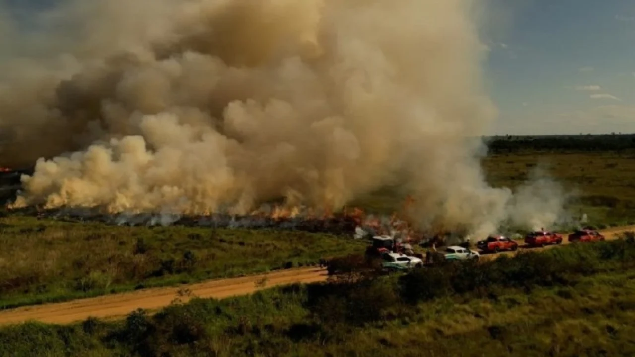 Equipes do Corpo de Bombeiros e do Imasul realizaram queima prescrita no Parque