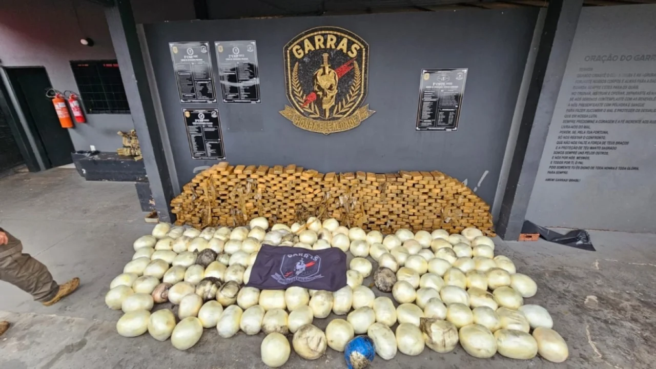 Foto: Entorpecente apreendido pesou 975 quilos - Foto: Polícia Civil