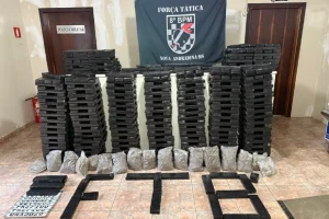 Pesagem oficial confirmou 615 quilos de maconha apreendidos pela Força Tática e