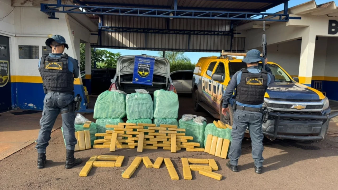 Drogas apreendidas pela Polícia Militar Rodoviária na MS-134 — Foto: Jornal da N