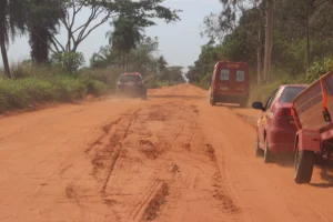 Foto: Equipes do Corpo de Bombeiros Militar realizam buscas na zona rural de Bat