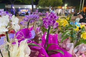 Feira Artes e Sabores - Foto: Arquivo/Prefeitura de Batayporã