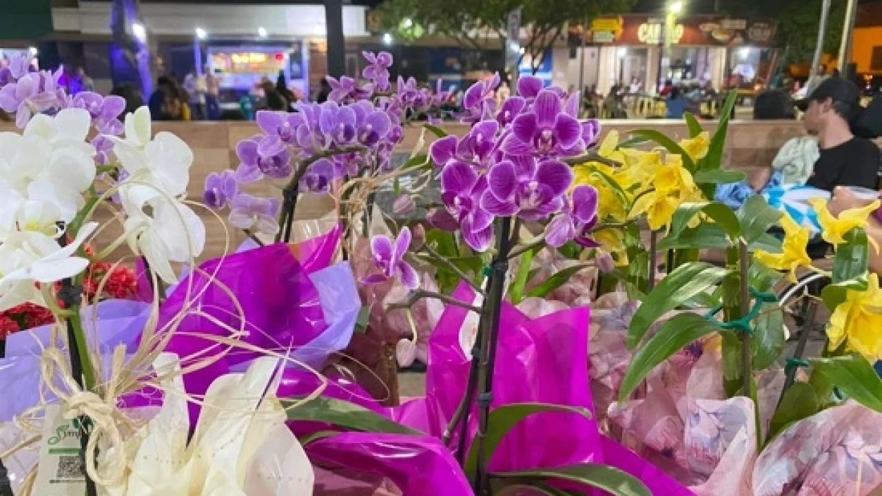 Feira Artes e Sabores - Foto: Arquivo/Prefeitura de Batayporã