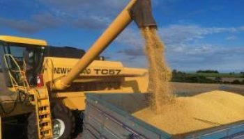 IGP-M registra queda acumulada de 1,05% em 2025