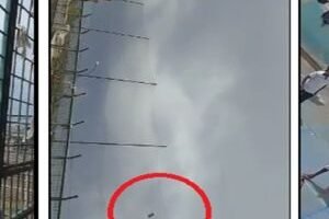 20260311-085718-original-whatsapp-image-2026-03-11-at-080700-2