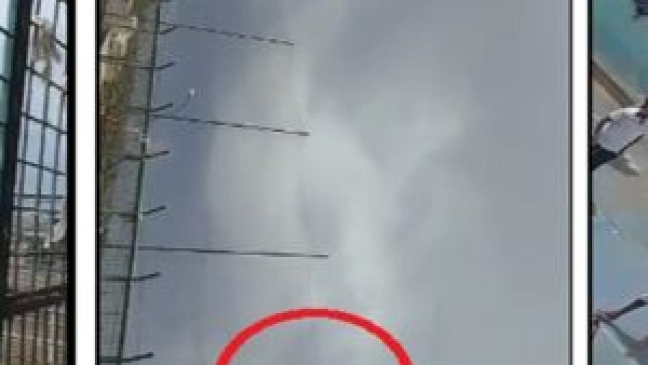 20260311-085718-original-whatsapp-image-2026-03-11-at-080700-2