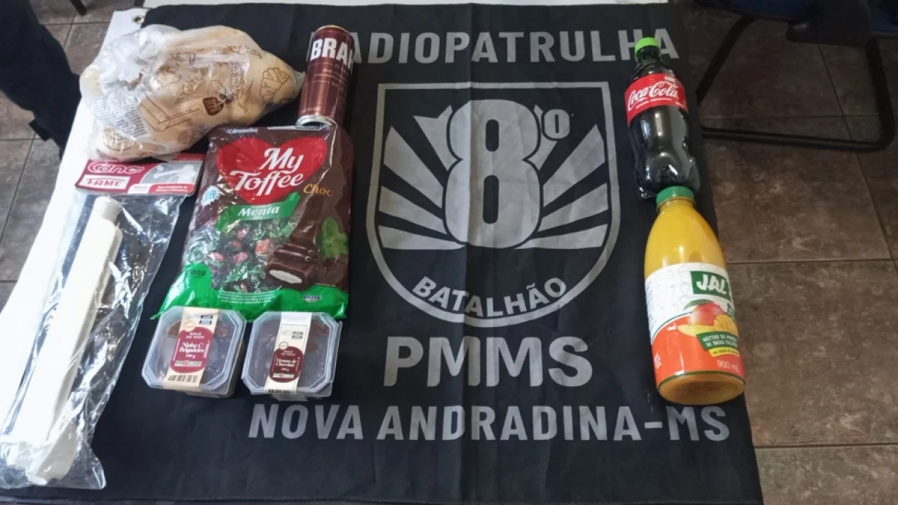 Foto: Produtos furtados - Foto: PM/Divulgação