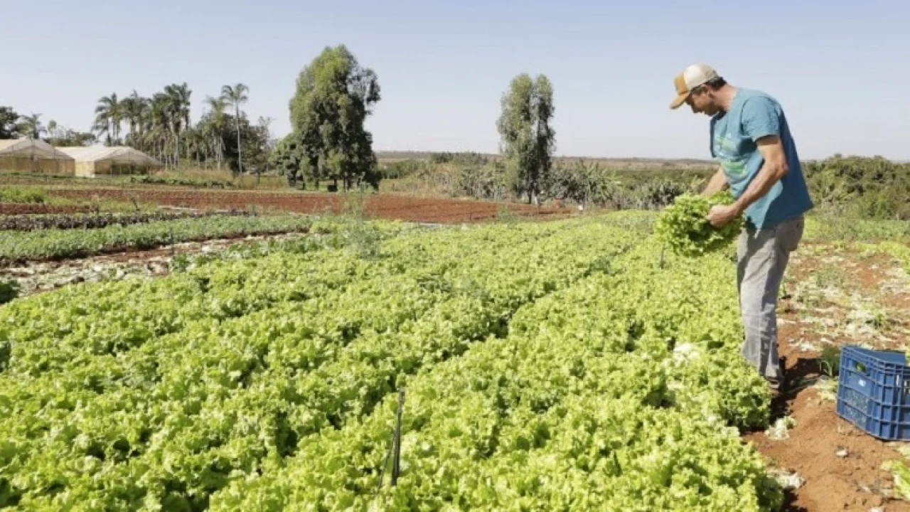 Foto: Indicação apresentada na Câmara de Nova Andradina propõe destinação de áre
