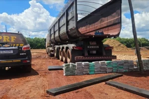 Droga apreendida — Foto: Droga apreendida - Foto: PRF/Divulgação