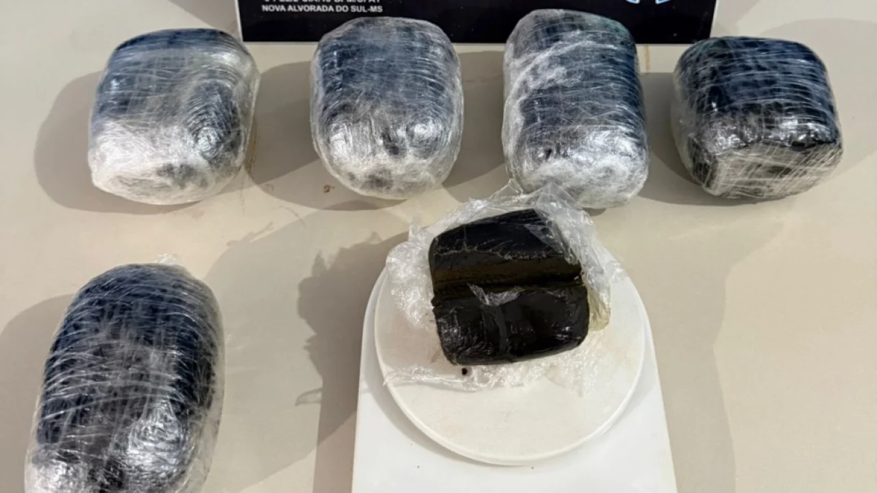 Droga apreendida — Foto: Droga apreendida - Foto: PM/Divulgação