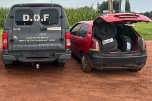 Foto: Carga de pneus e cigarros é apreendida pelo DOF - Foto: DOF/Divulgação
