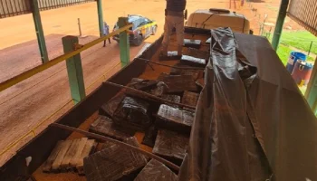 PRF apreendeu 2.170 quilos de maconha escondidos em meio a carga de milho, em It