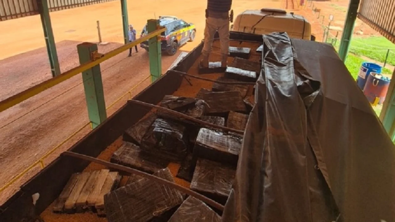 PRF apreendeu 2.170 quilos de maconha escondidos em meio a carga de milho, em It