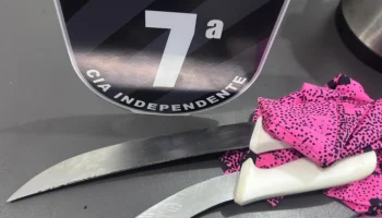 Facas que foram apreendidas na ação — Foto: Facas que foram apreendidas na ação