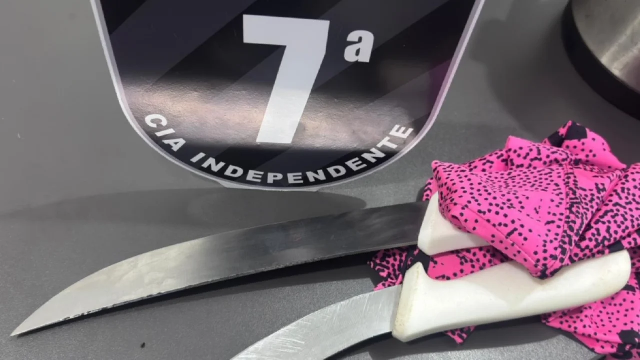 Facas que foram apreendidas na ação — Foto: Facas que foram apreendidas na ação