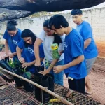 Arboriza Via conclui etapa de produção de mudas e prepara plantio na MS-276 — Fo
