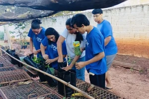 Arboriza Via conclui etapa de produção de mudas e prepara plantio na MS-276 — Fo
