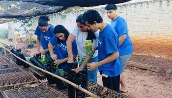 Arboriza Via conclui etapa de produção de mudas e prepara plantio na MS-276 — Fo