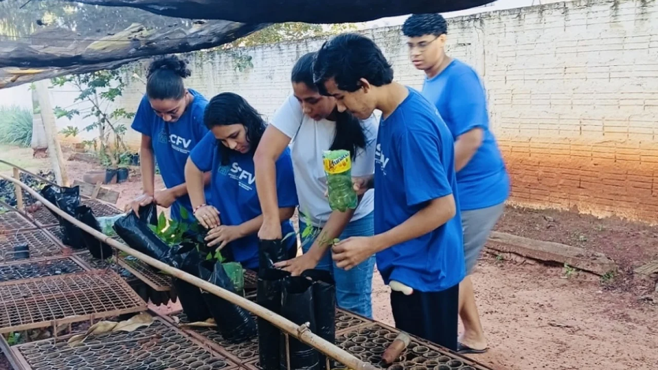 Arboriza Via conclui etapa de produção de mudas e prepara plantio na MS-276 — Fo