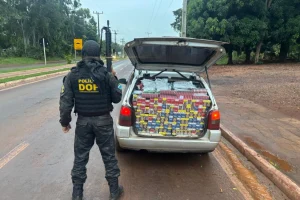 Agrotóxicos e cigarros contrabandeados — Foto: Agrotóxicos e cigarros contraband