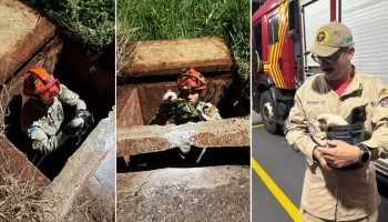 53f629427f0b093f22807b75e51a15a8_1