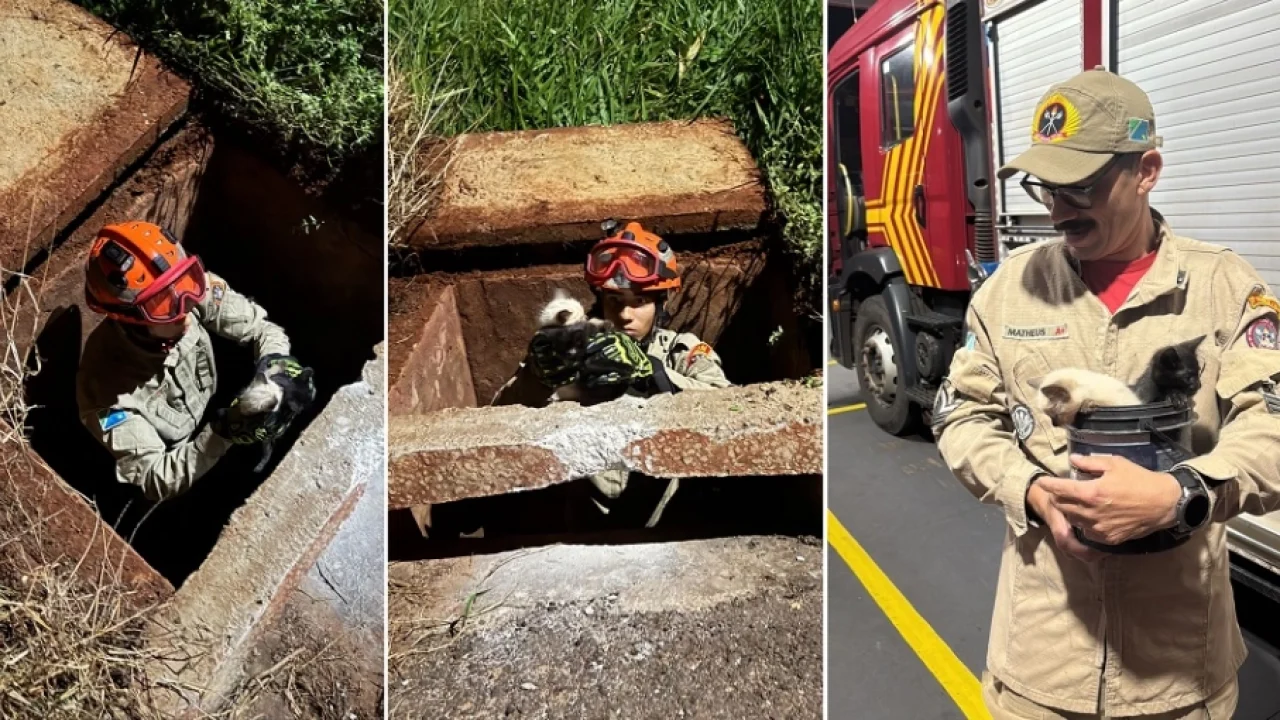 53f629427f0b093f22807b75e51a15a8_1