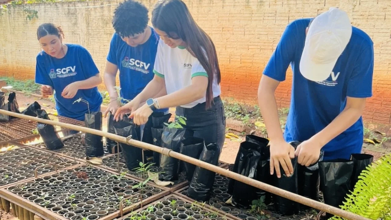Arboriza Via amplia participação e leva novas turmas ao cultivo de mudas em Bata