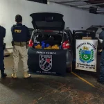 Foto: Força Tática, PM de Ivinhema e PRF apreenderam 219 quilos de maconha e hax