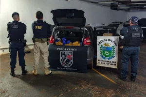 Foto: Força Tática, PM de Ivinhema e PRF apreenderam 219 quilos de maconha e hax