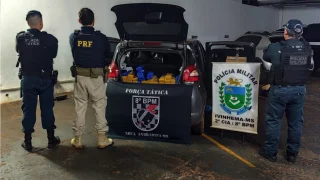 Foto: Força Tática, PM de Ivinhema e PRF apreenderam 219 quilos de maconha e hax