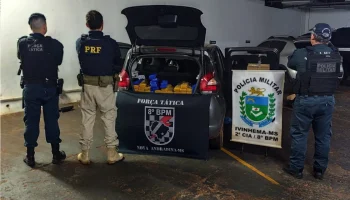 Foto: Força Tática, PM de Ivinhema e PRF apreenderam 219 quilos de maconha e hax