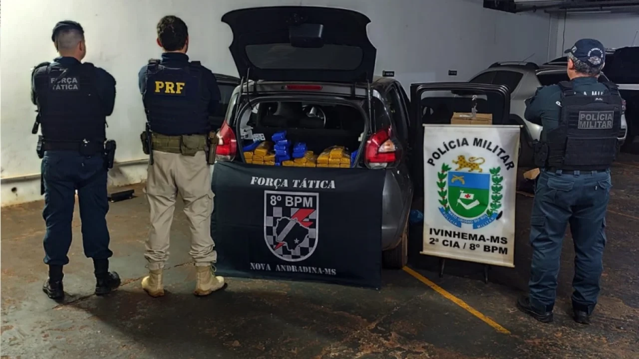 Foto: Força Tática, PM de Ivinhema e PRF apreenderam 219 quilos de maconha e hax