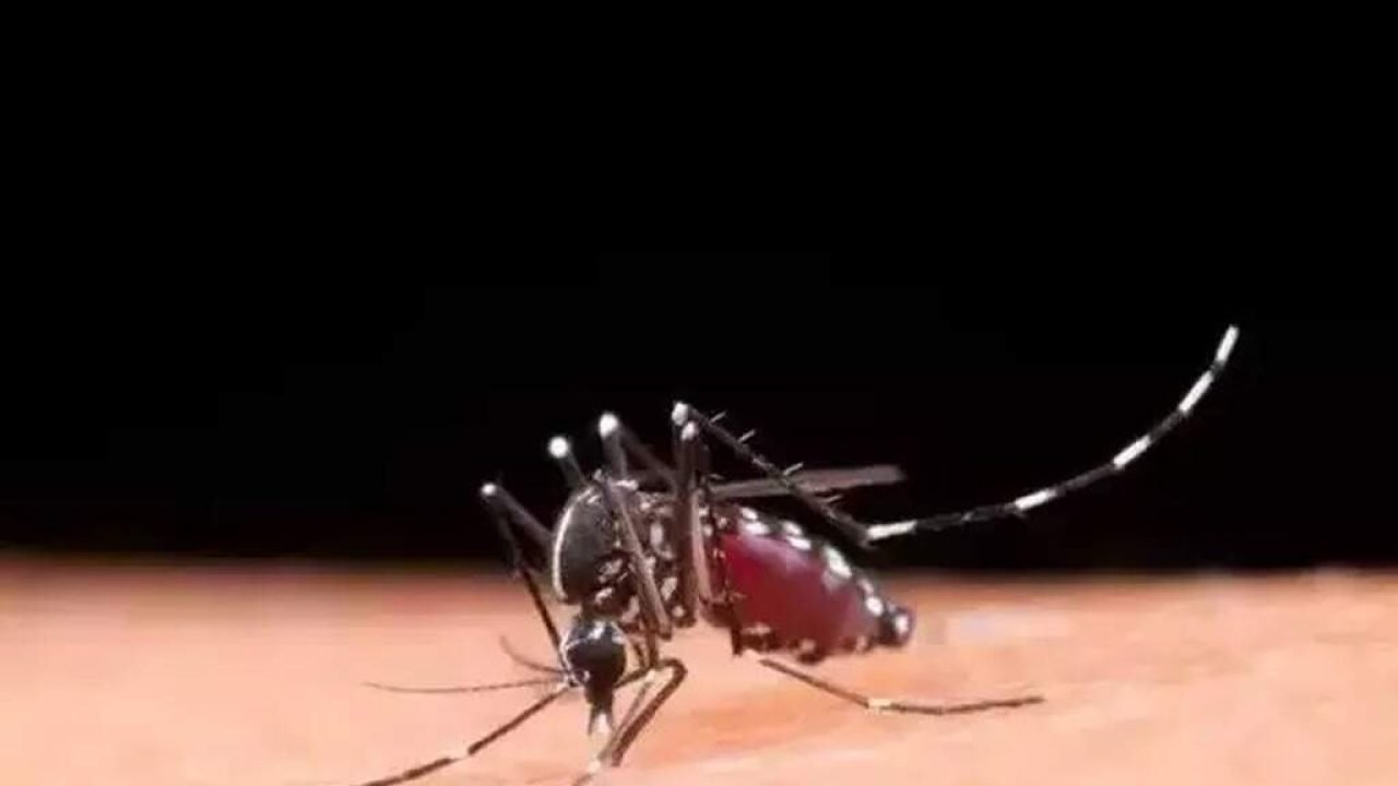 6a1f1f7c7f2cf