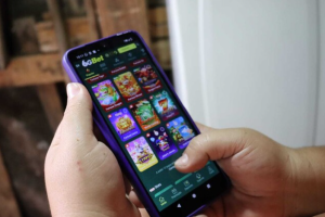 6a5284d702933