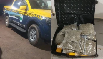 Mala com 15 quilos de drogas foi apreendida pela Polícia Militar Rodoviária na M
