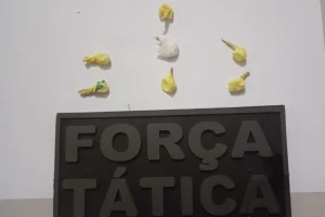 Entorpecente foi encontrado em uma lixeira de banheiro após denúncia anônima — F