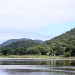 Pantanal - Foto: Divulgação