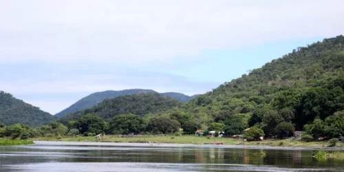 Pantanal - Foto: Divulgação