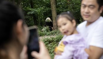 Chineses Pagam Mais por Contraceptivos e Menos por Creches