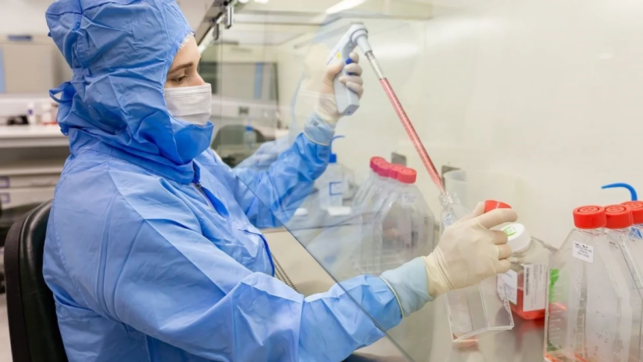 Estudo usa células-tronco contra complicações do transplante de medula - Foto: G