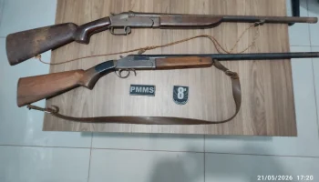 Espingardas calibre 12 foram encontradas escondidas em área de vegetação na regi